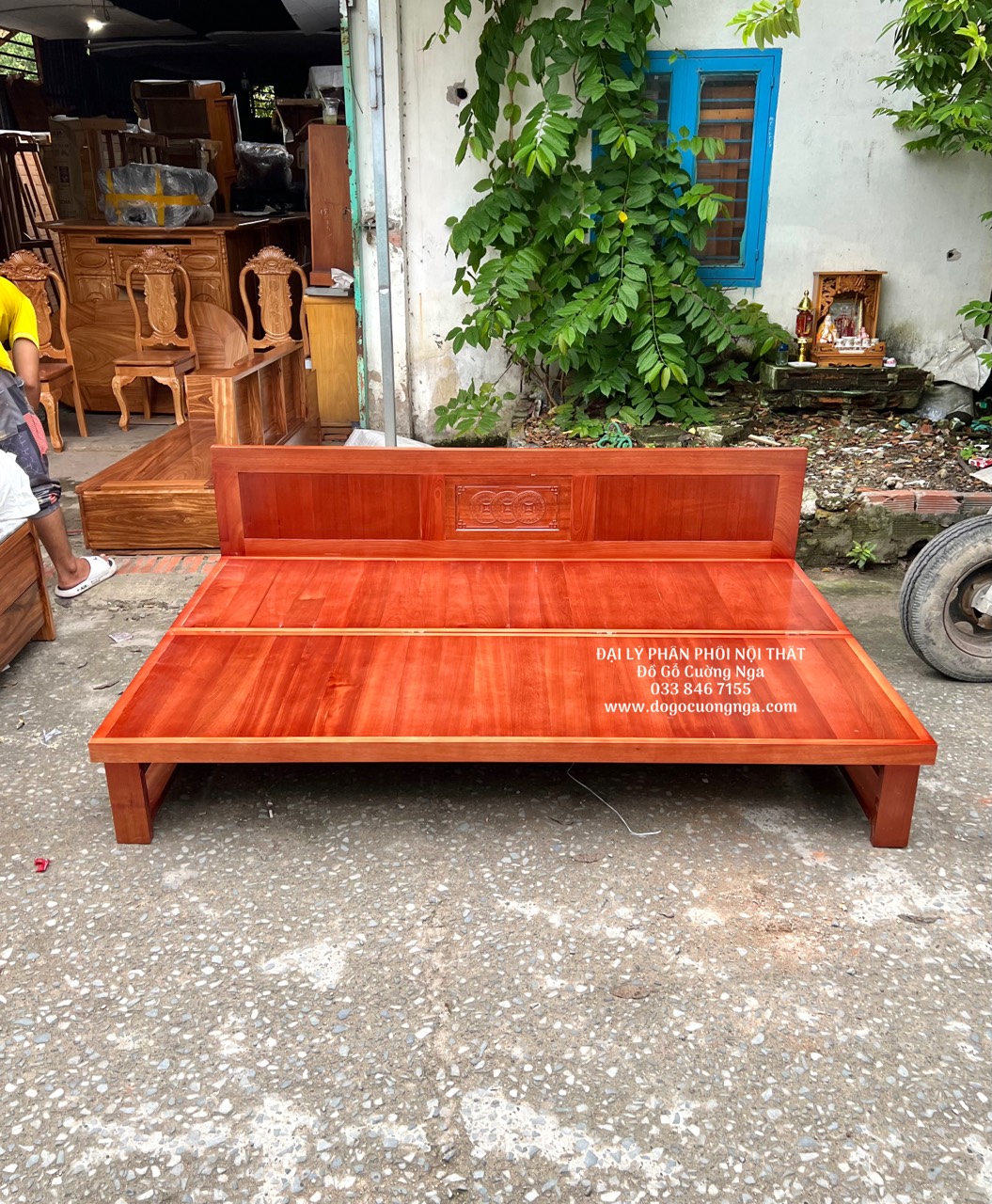 giuong gap go xoan dao